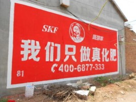 汝南刷墙广告”蕴含了时代命题