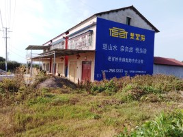 汝南必须知道的墙体广告形势
