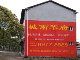 汝南百分之90的人都不了解的农村墙体广告