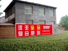汝南如何让墙体广告展现最大化效果