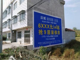 汝南墙体广告质量分析