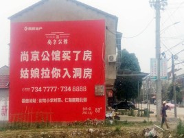汝南墙体广告在乡镇、农村市场的媒体优势