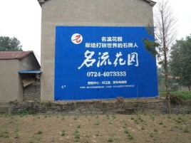 汝南农村墙体广告的长尾效应