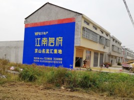 汝南农村墙体广告在不同形式上面展现的不同特色