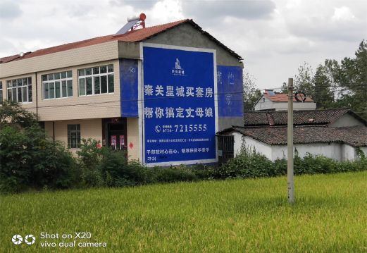 汝南决定墙体广告价格的因素有哪些?