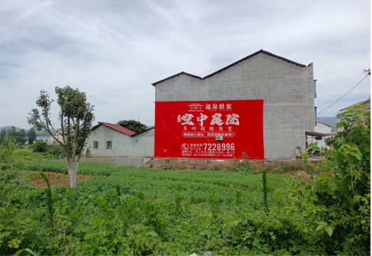 汝南做墙体广告的意义