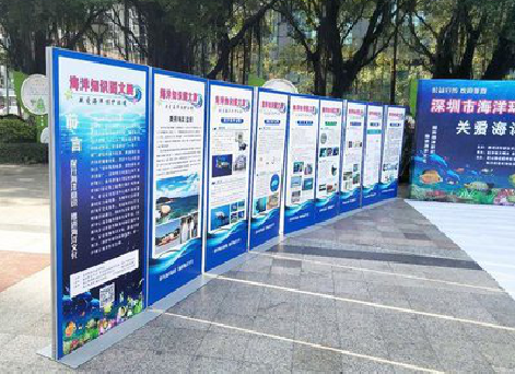 汝南KT板的种类和知识。